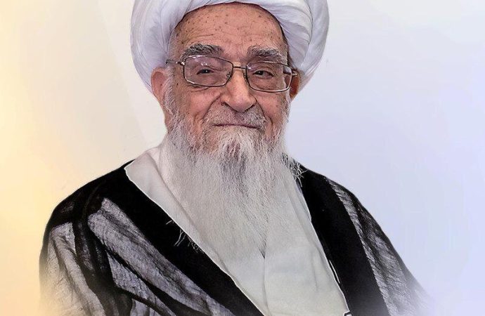 آیت الله العظمی صافی گلپایگانی: فقدان علامه عاملی برای مراکز علمی و دینی خسارت است