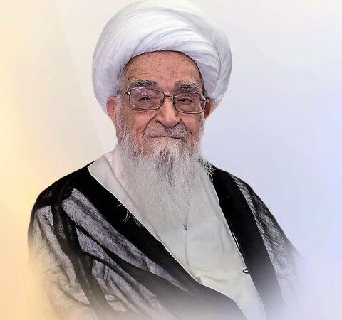 در خواست آیت الله العظمی صافی از مجلس شورای اسلامی: نمایندگان مجلس طرح گرانی بنزین را لغو کنند