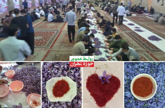 شرکت طلاب جهادی «مدرسه دارالسلام » تهران در طرح «جهاد زعفران»